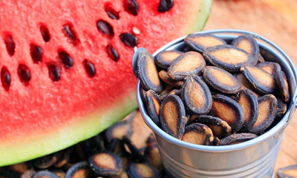 Does eating watermelon seeds give nutrients to the body? 1 Does eating watermelon seeds give nutrients to the body?