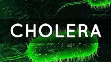 Cholera: Symptoms, causes, prevention, and treatment as cases rise in Cross River