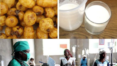 Are Tiger nut drinks responsible for Nigeria’s ongoing Cholera outbreak?