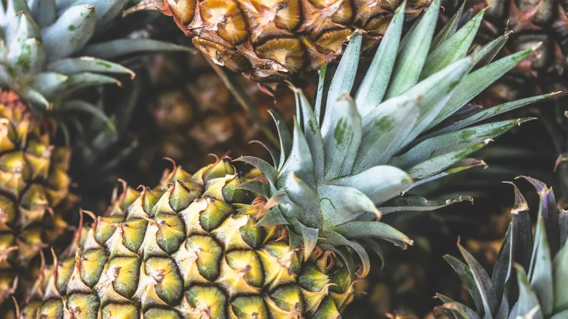 Verifying several claims on Pineapple leaf as a cure