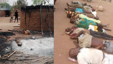 Old video of Benue killings falsely tagged as recent attack in Enugu