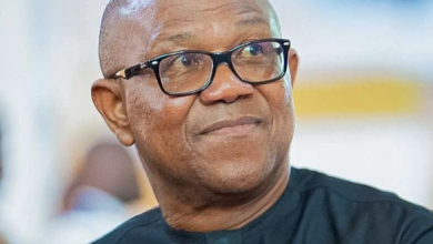 Old video recirculated to portray Olubadan endorsing Peter Obi