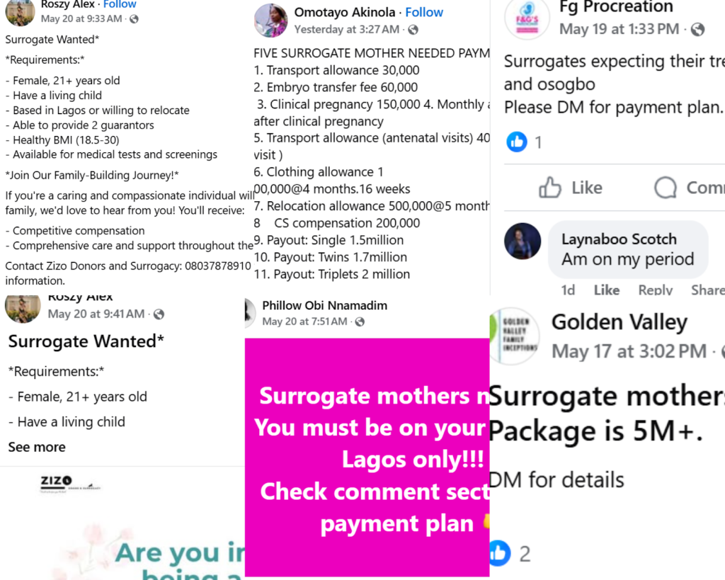 Yadda shafin Facebook, bayanan da ba daidai ba, da gazawar dokoki ke jefa matan Najeriya cikin sarkakiya in sun je daukar ciki wa wadanda ba su iya dauka da kansu dan samun kudi