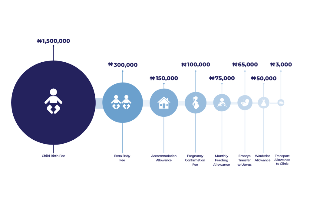 How Facebook, misinformation, legal loopholes throw Nigerian women into surrogacy ditch