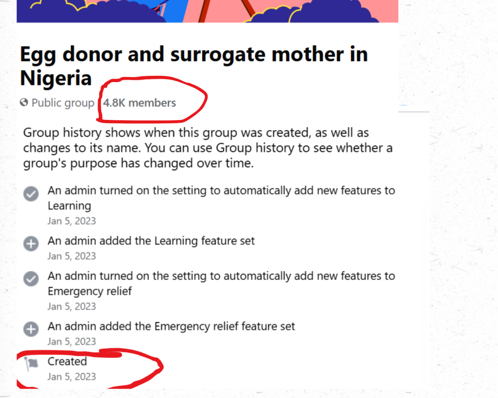 How Facebook, misinformation, legal loopholes throw Nigerian women into surrogacy ditch