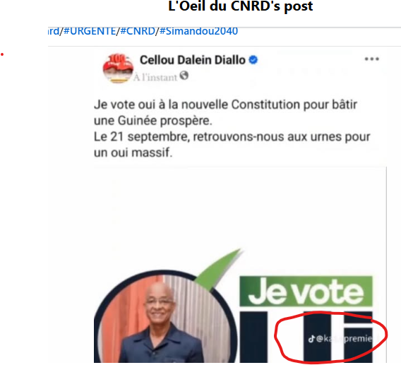 Guinée : l’opposant politique, Cellou Dalein Diallo, a-t-il appelé à voter « oui » au référendum constitutionnel du 21 septembre?