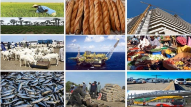 Sénégal : Une croissance à deux chiffres portée par les hydrocarbures; tandis que l’économie réelle stagne