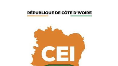 Élection ivoirienne : le rôle de la CEI et du Conseil Constitutionnel 