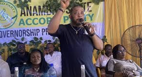 Anambra 2025: Meet the 16 candidates vying to be governor 12 Anambra 2025: Meet the 16 candidates vying to be governor