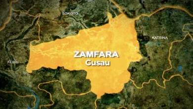 No evidence Zamfara sent 500 Askarawa men to fight bandits on their own