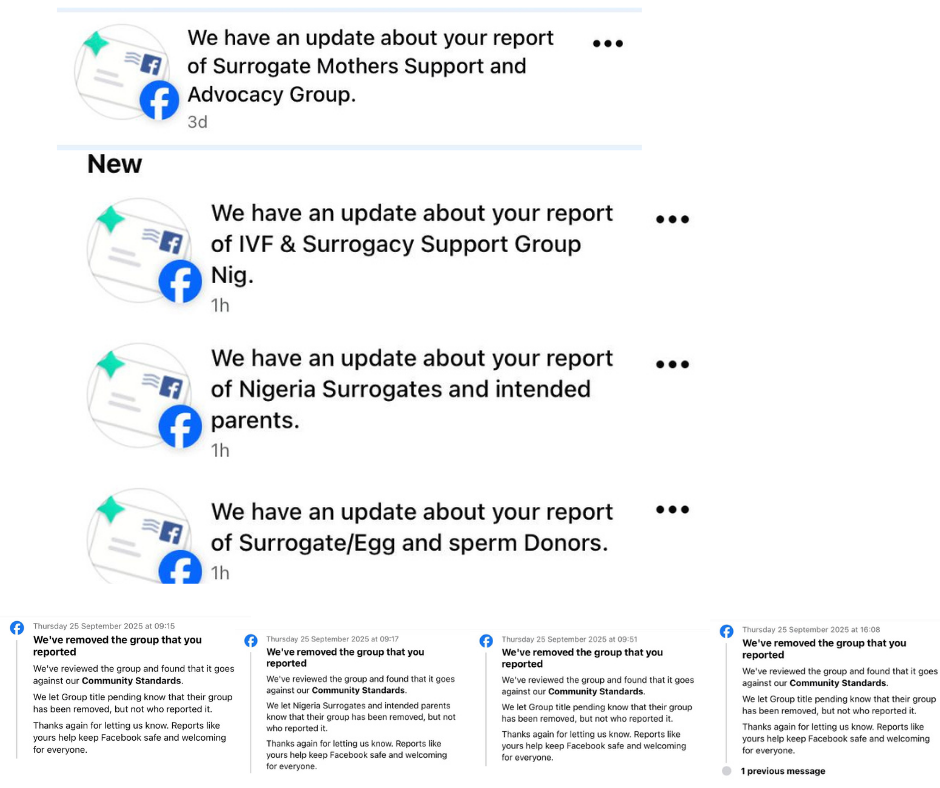 After DUBAWA’s investigation, Facebook removes Nigerian surrogacy groups  4 After DUBAWA’s investigation, Facebook removes Nigerian surrogacy groups
