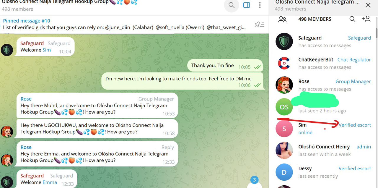Screenshot showing reporter gaining the verified escort label in the group